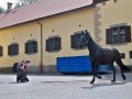 Zodiacon 2012 289.jpg